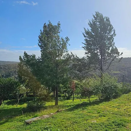 Juncao Al T1 Miranda del Duero