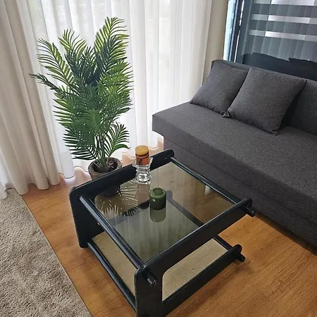 Apartamento Juncao Al T1 Miranda del Duero